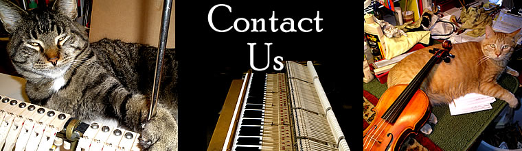 Contact Us